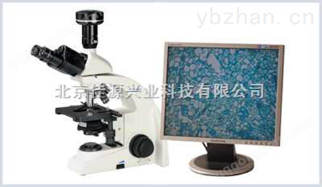 UB100i奥浦生物显微镜