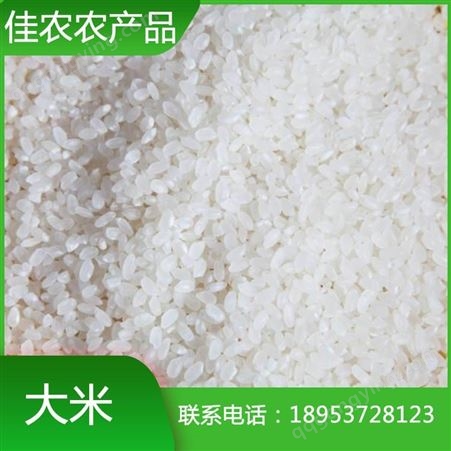 山东大米厂家现货批发鱼台圆粒大米 珍珠米 优质大米价格