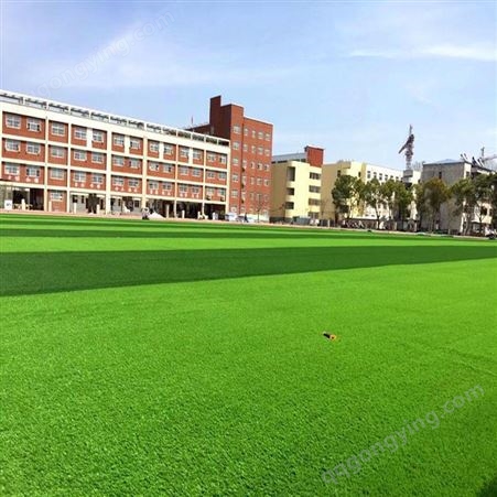 人造草坪足球场施工 仿真绿植绿色地毯  16针小双面筋仿真加厚人造草坪 专业施工服务