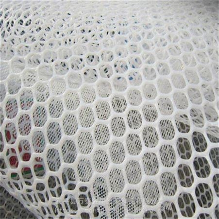 塑料养殖网 养蚕网 塑料平网