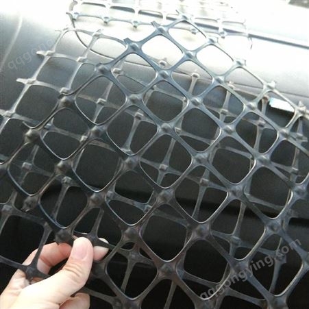 黑色塑料方格网养殖围栏用A江宁黑色塑料方格网养殖围栏用A黑色塑料方格网厂家批发 奥焱