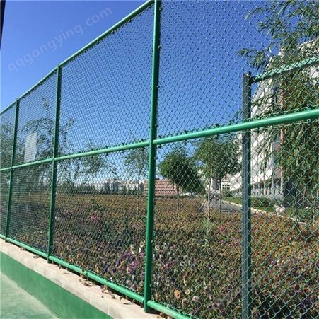 qsad45学校体育场围网 运动场围栏 朗高 球场围网现货
