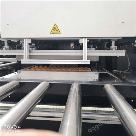 中空板箱生产设备 苏州捷之诚自动化