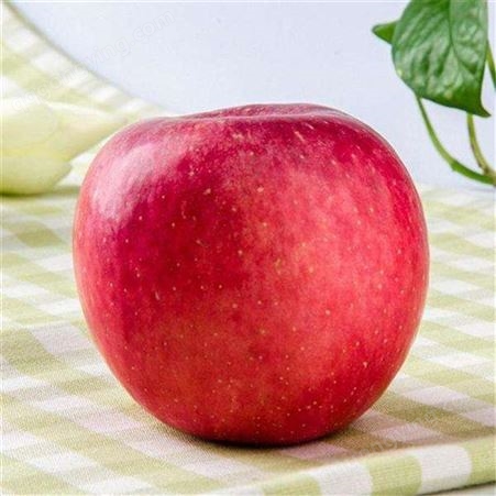 苹果价格走势 冷库纯纸袋红富士二级苹果价格