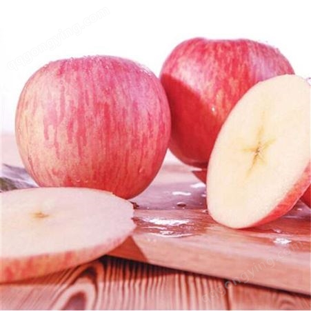 美八苹果 恒温库苹果 果形端正耐储存体积很大 昊昌农产品