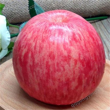 冷库苹果 75以上红富士 0-8度保鲜存储遍体通红 昊昌农产品