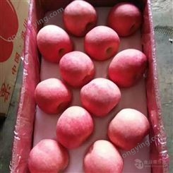 珠海红富士苹果水分高 2020年红富士苹果价格
