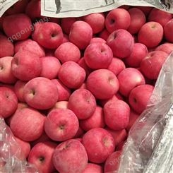 红富士苹果的介绍 购买冷库保存苹果利润