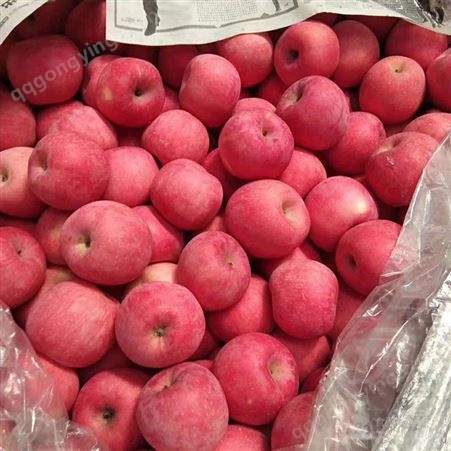 红富士苹果的介绍 购买冷库保存苹果利润