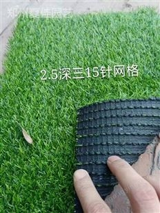 假草坪-郑州夏佳园艺有限公司 厂家直发