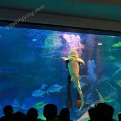 大型亚克力鱼缸设计定做 海洋馆施工设计 海洋馆修建 戏浪科技
