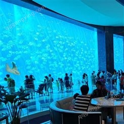 主题海洋馆设计 亚克力厚板 承接大鱼缸定做 无边际泳池 戏浪公司