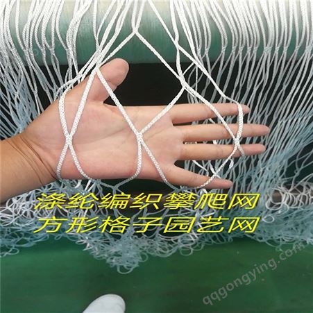 白色涤纶编织网格爬藤网植物家用园艺网种植网无结网