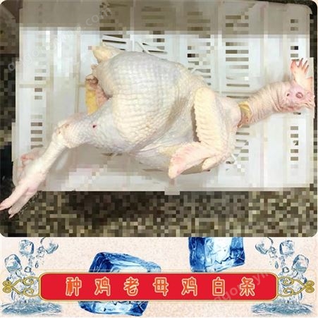 冷冻整鸡产品种鸡白条_有路食品_山东冻品生产厂家供应