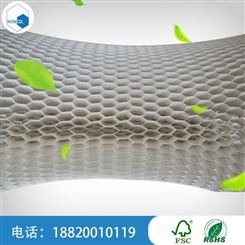 广州新型蜂巢仿生结构材料 PET高铁塑料蜂窝板厂家