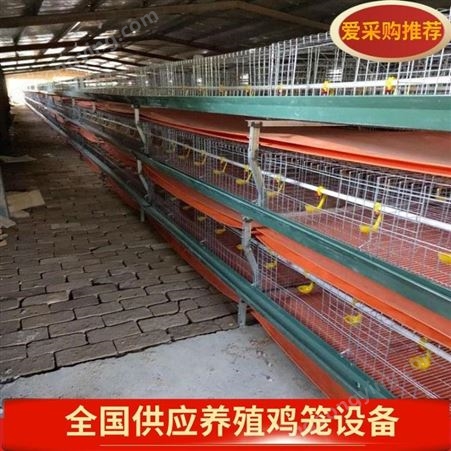 镀锌阶梯式蛋鸡笼三层四门自动化养殖鸡设备蛋鸡笼自动清粪