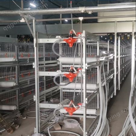 农户常用便宜立式肉鸡笼清粪机输送带全套设备养鸡场自动清粪机