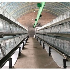 自动设备盟鹏养殖蛋鸡设备阶梯式蛋鸡笼三层蛋鸡笼厂家