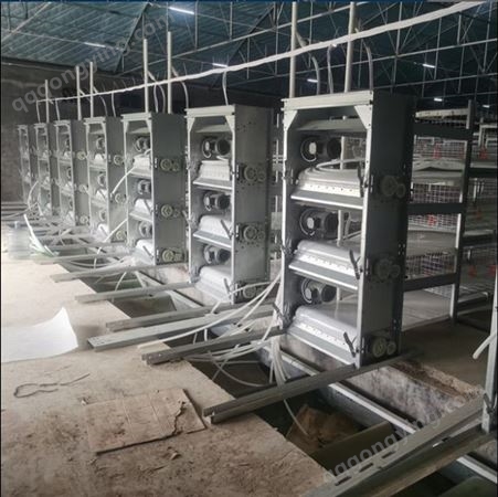 农户常用便宜立式肉鸡笼清粪机输送带全套设备养鸡场自动清粪机
