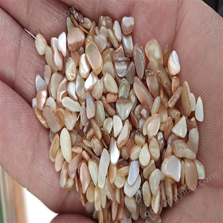 兰国矿产 天然玉石 白色贝壳 摆件装饰 水洗圆粒贝壳砂