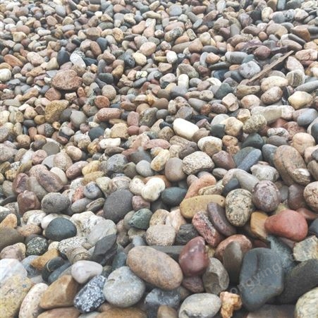 灵寿鹅卵石厂家  园林景观鹅卵石  天然鹅卵石