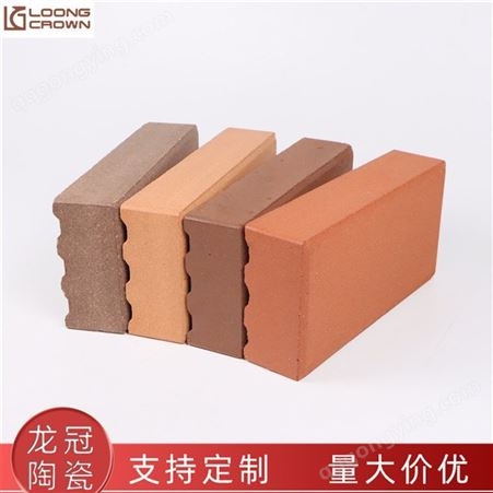 龙冠陶瓷 陶土砖 亚光质地耐磨陶土砖 欢迎来厂订购