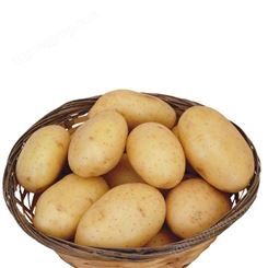 土豆批发价格 新鲜土豆代理包装 批发土豆