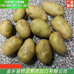 土豆代收 新鲜土豆代理包装 批发土豆