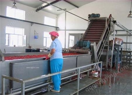 上海嘉备 辣椒丝设备生产线 辣椒丝生产加工设备 小型罐头生产设备