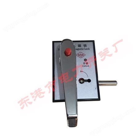 广东电磁锁品牌厂家 电磁锁安全 户外电子锁