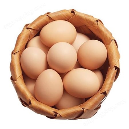 鸡蛋批发 北京油鸡商品蛋厂家批发 养殖场高产北京油鸡鸡蛋