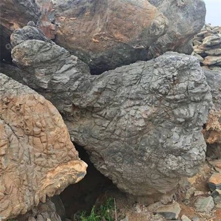 假山流水景石 龟纹石护坡石