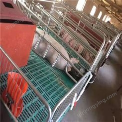 厂家母猪产床 养殖设备 产保一体式产床保温室 养猪设备 定位栏 福立畜牧批发