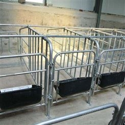 加工 带槽定位栏 母猪用定位栏 养猪场定位栏 定制