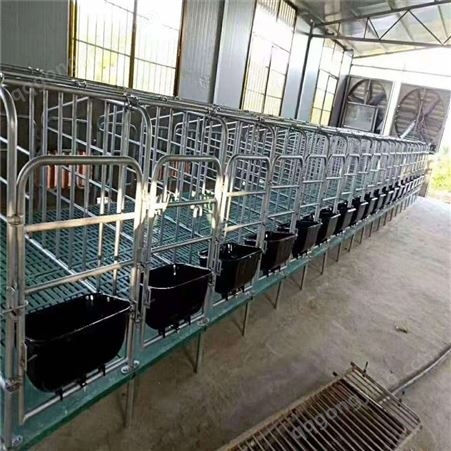 厂家母猪产床 养殖设备 产保一体式产床保温室 养猪设备 定位栏 福立畜牧批发