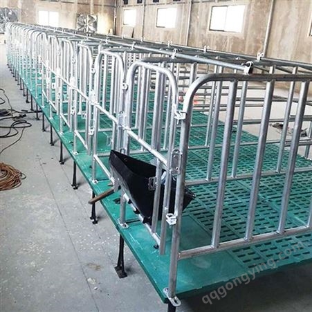 供应母猪定位栏 限位栏 养猪设备 养殖设备猪场复合漏粪板定位栏