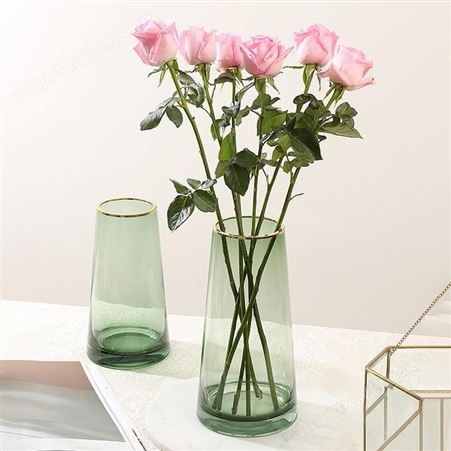 迅想 玻璃花瓶北欧轻奢桌面摆件创意水培植物富贵竹植物百合插花雅绿金色描边0425