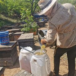正宗土蜂蜜农家自产天然荆花蜜 深山百花蜜生产